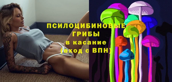 spice Саяногорск