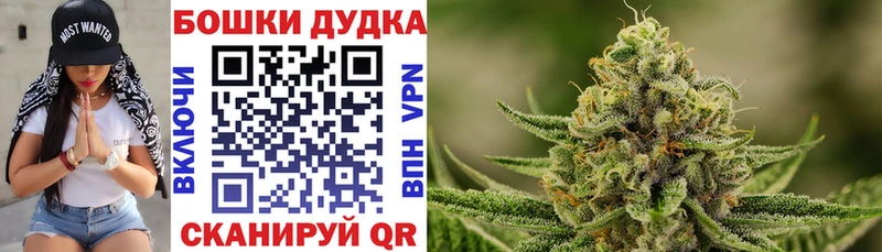 Купить закладки  Старица  Бошки марихуана MAZAR 